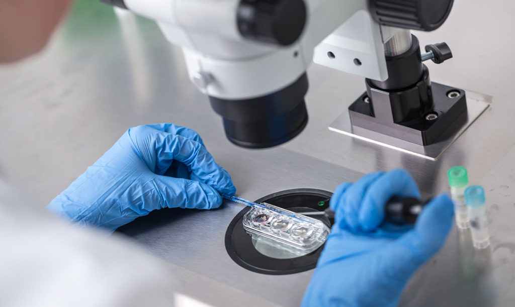 tratamento de infertilidade com fertilização in vitro em laboratório
